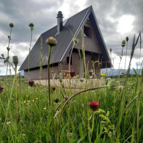 Brown cabin